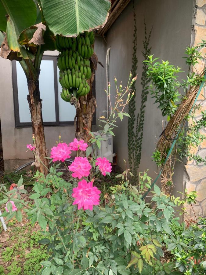 Trang An Peaceful Homestay Ninh Binh Exterior photo